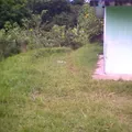Curso Comunitario el Mangal