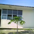 Primaria Comunitaria Rural Vigastepec