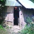 Primaria Comunitaria Rural Tenanguito