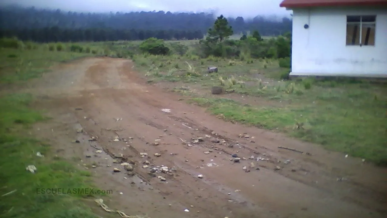Primaria Comunitaria Mestiza Tilca Entrada