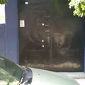 Centro Educativo Mexicano