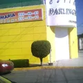 Colegio Darlington,s.c