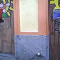 Centro de Educacion Integral Piltonalt