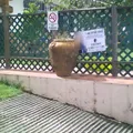 Colegio Montessori del Sol