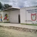Celestin Freinet