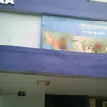 Instituto Maria Curie Sklodowska