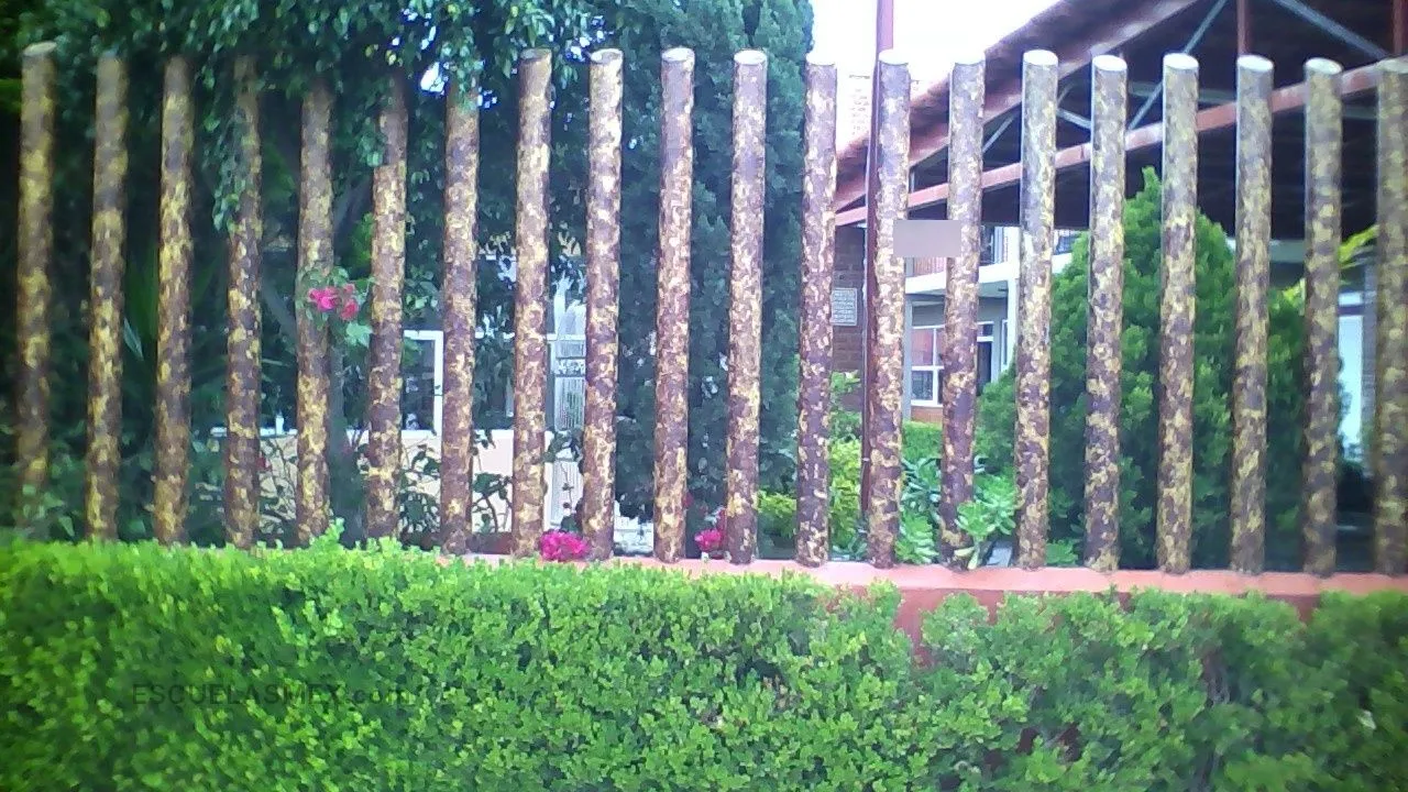Colegio Montessori Tepeyac Entrada