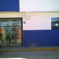 Instituto Frida Kahlo