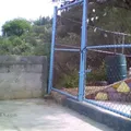 Ra Ngu Ya Fadi Batzi