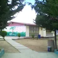 Palomas