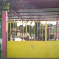 Citlali