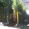 Mision Tancoyol