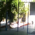 Dolores Echeverria Esparza