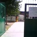 Guacharo