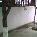 Tiyoli