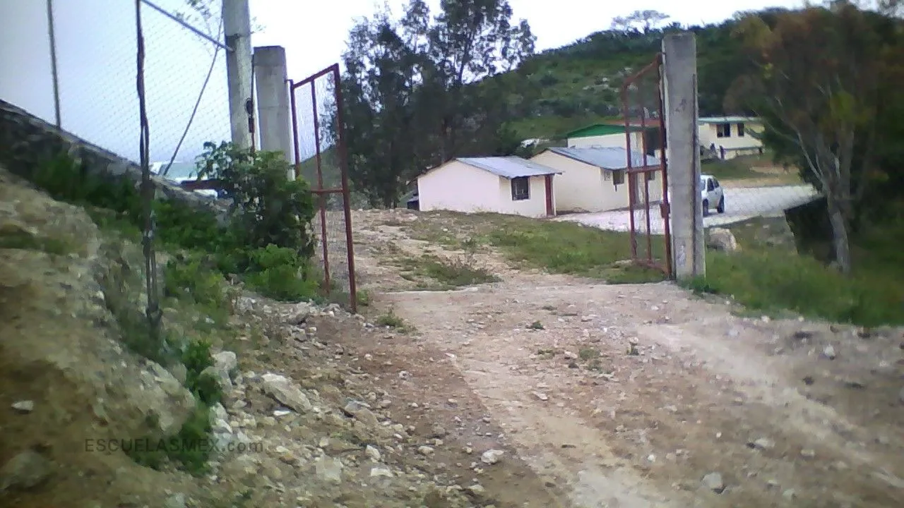 5 de Mayo Entrada