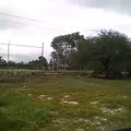 Niños Heroes