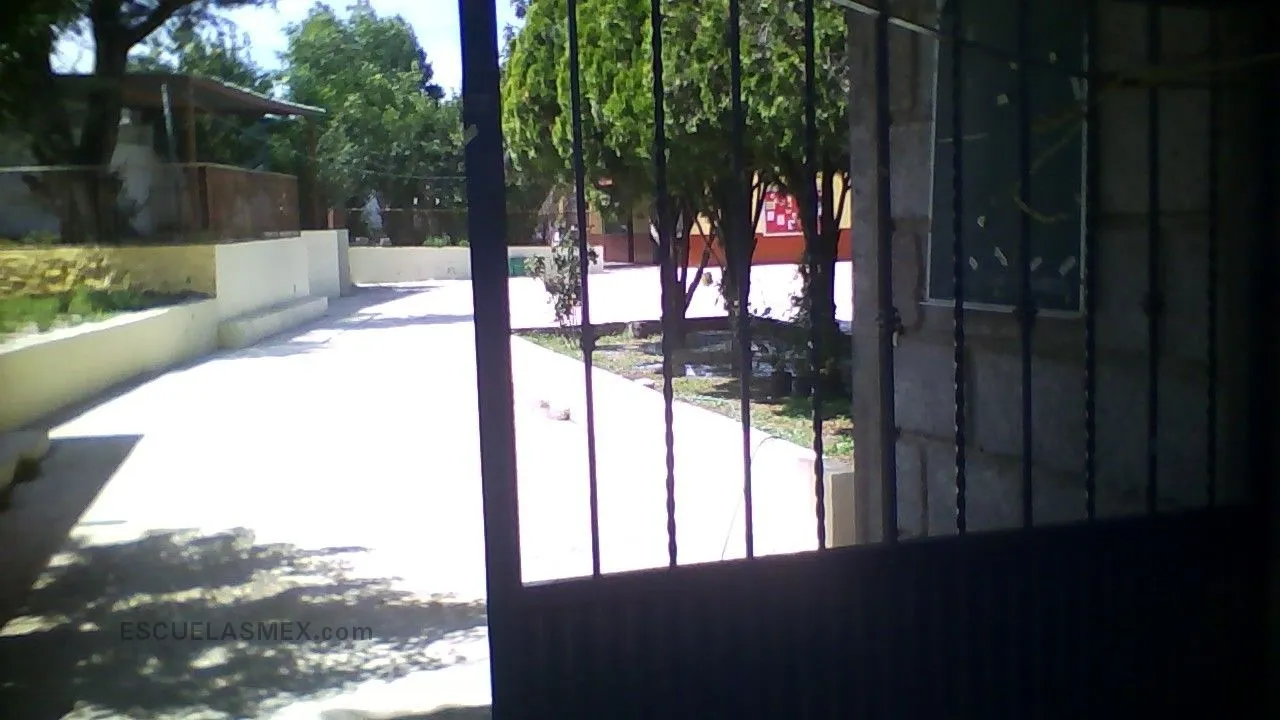 Maria Enriqueta Entrada