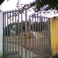 Francisco Sarabia