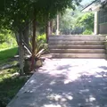 Renacimiento