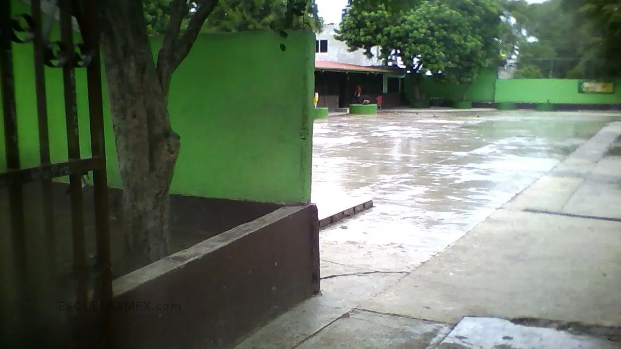 Alfredo V. Bonfil Entrada
