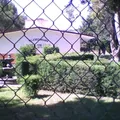 Manuel Jose Othon