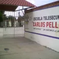 Carlos Pellicer