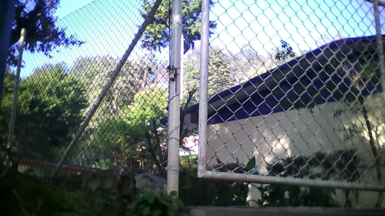 Alfredo V. Bonfil Entrada