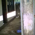 Preescolar Comunitario