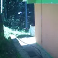 Preescolar Comunitario