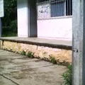 Preescolar Comunitario