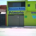 Instituto Wallon