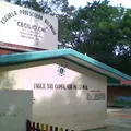 Cecilio Chi