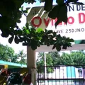 Ovidio Decroly