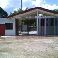 Pipila