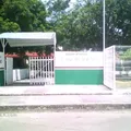 Maria Helena Chanes