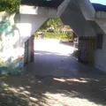 Siyan-caan