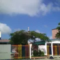 Corales
