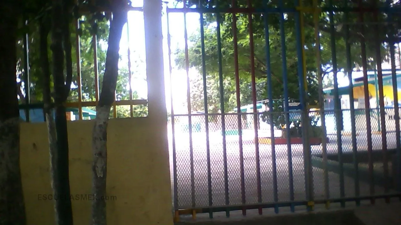 Hellen Keller Entrada