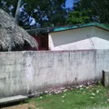 Plutarco Elias Calles