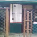 Armando Santos Cetina