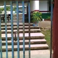 Rosario Ma Gutierrez Eskildsen
