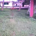 Serapio Flota Maas