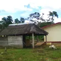 Cursos Comunitarios Preescolar Indigena