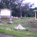 Secundaria Comunitaria