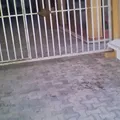 Centro de Estudios Trilingüe In Najil Xook Tulum