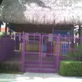 Instituto Playa del Carmen, A.c.