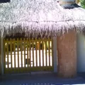 Colegio Ingles Quintana Roo