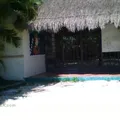 Caribbean College
