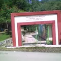 Belisario Dominguez